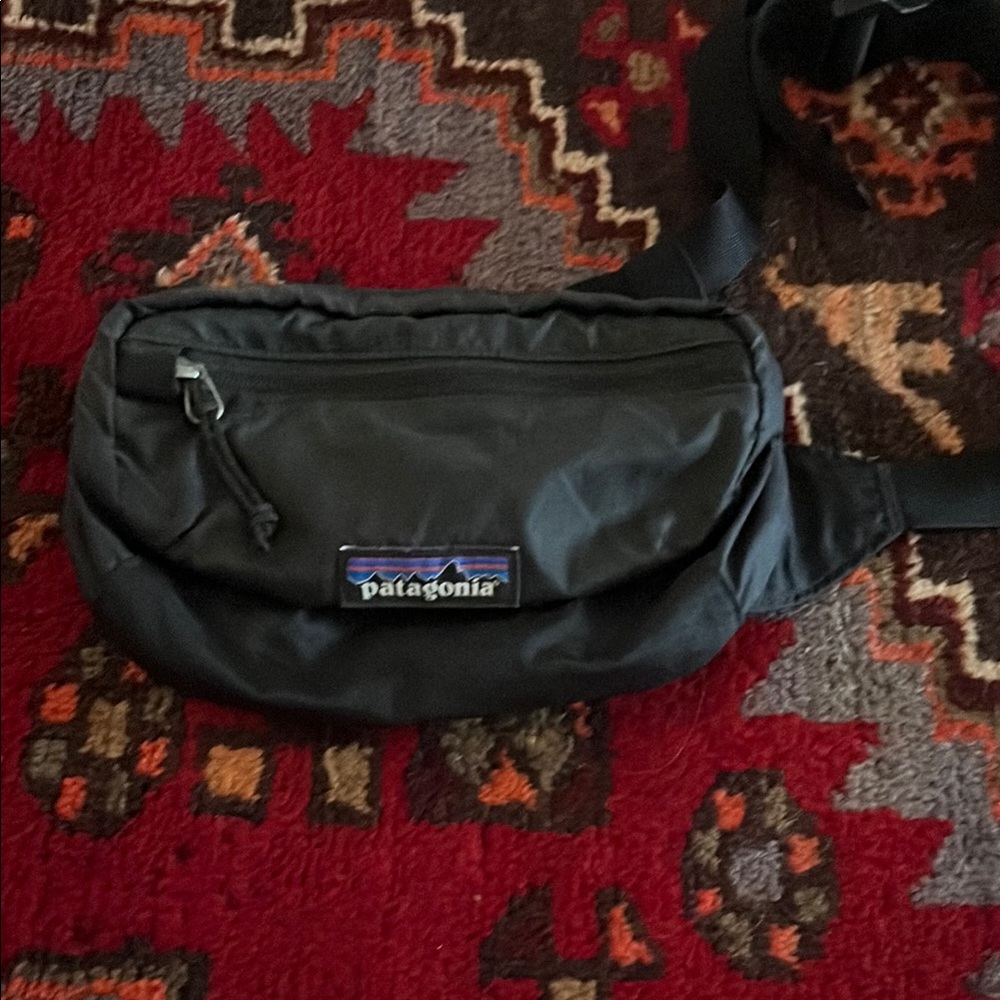 Patagonia Black Belt Bag